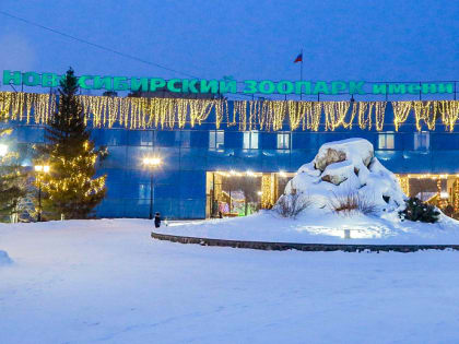Японских макак поселят в новом павильоне Новосибирского зоопарка