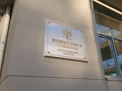 Региональные эксперты оценили подготовку к выборам президента России