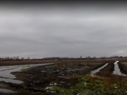 Заповедное озеро «расчистили» почти до полного высыхания?