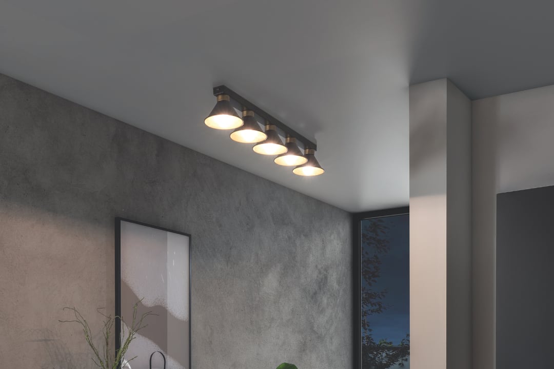 Ceiling Lights
