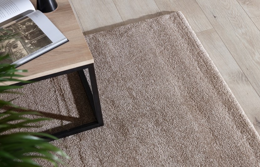 Verlice Beige living room modern rug 160x230cm