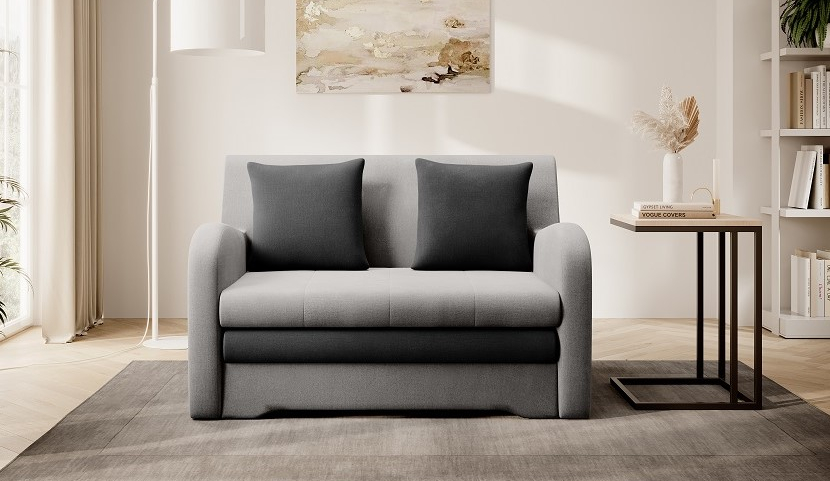 Ario two-seater sofa bed