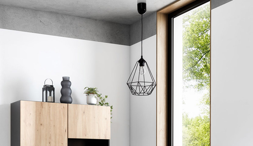 Benigne Hanging Lamp