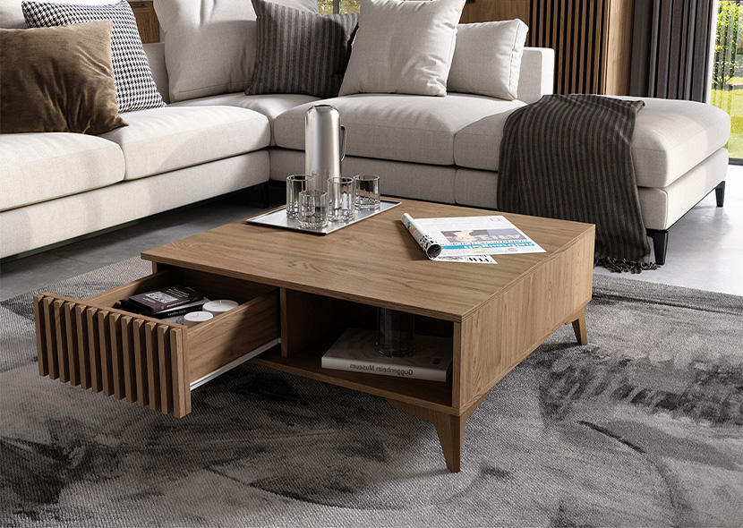 Entsian Coffee Table