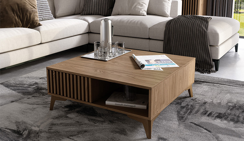 Entsian Coffee Table