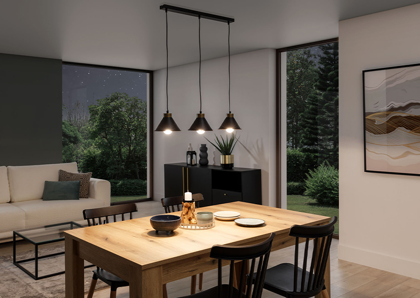 Detmer Hanging Lamp