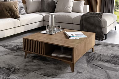 Entsian Coffee Table