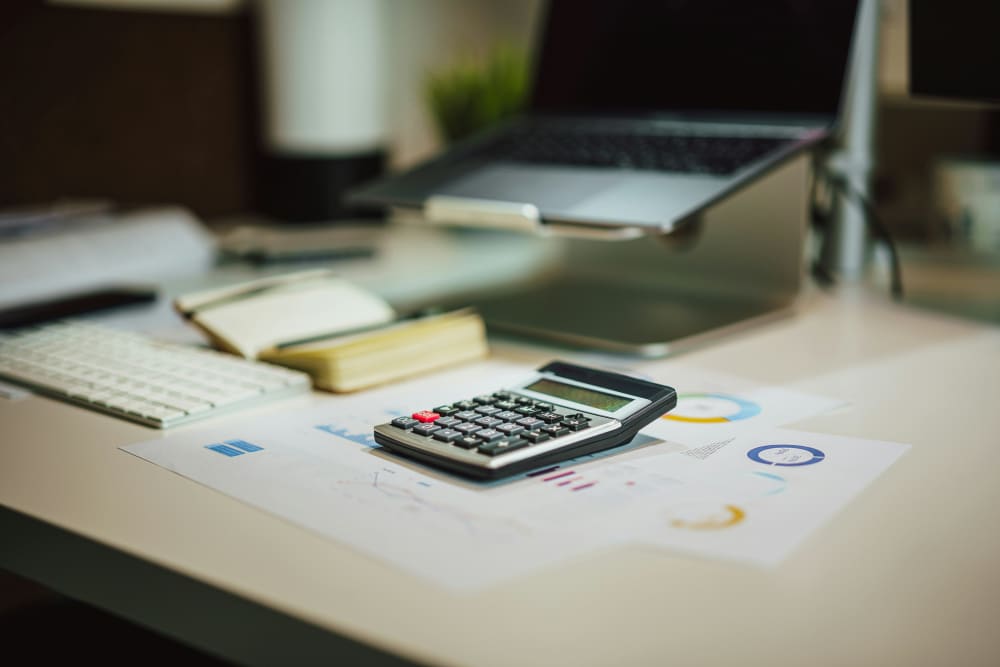 Tax Filing & GST Consultation