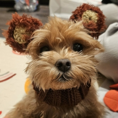 Kiwi