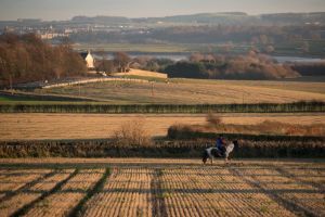 countryside fields
