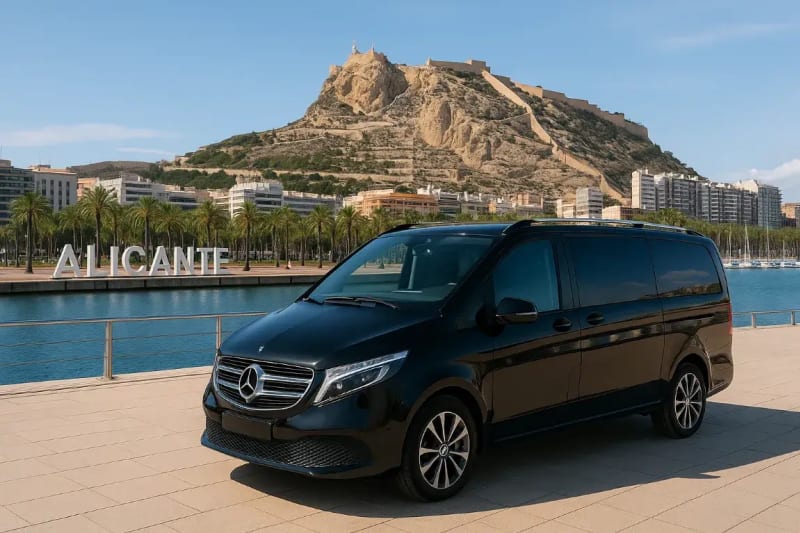 VIP Experience (4h): Chofer-Guía a tu Disposición