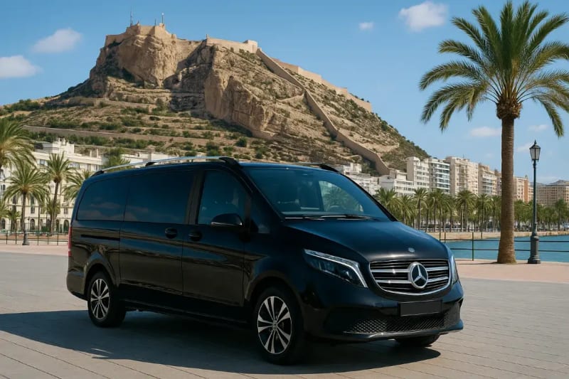 VIP Experience (8h): Chofer-Guía a tu Disposición