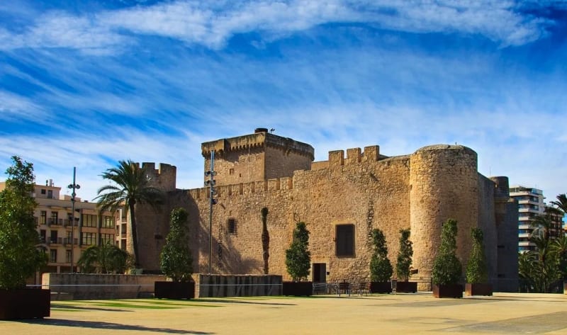 Elche y Santa Pola: Entre Palmeras y Sal