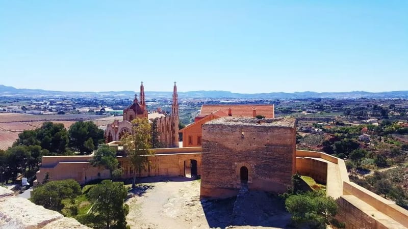 Vinalopó: Historia y Cata de vino