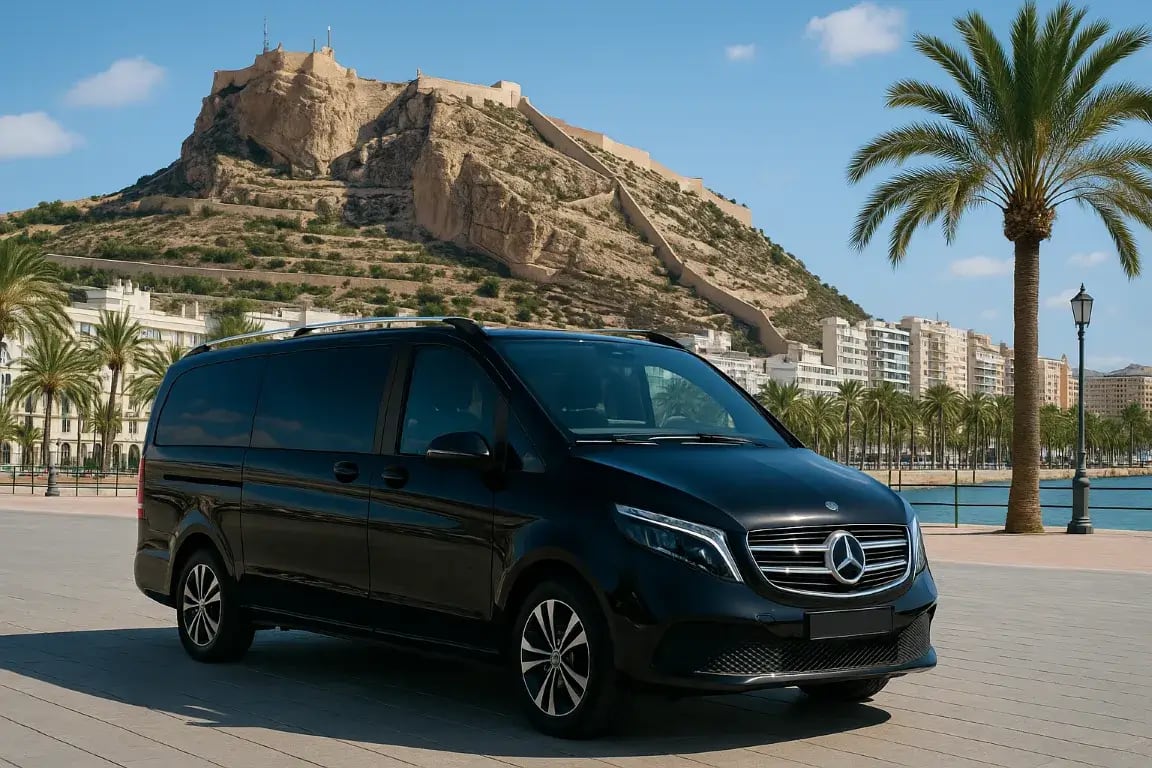 VIP Experience (8h): Chofer-Guía a tu Disposición