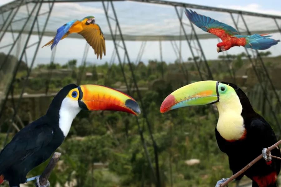 Aventura en Terra Natura | Día completo con traslado desde Alicante