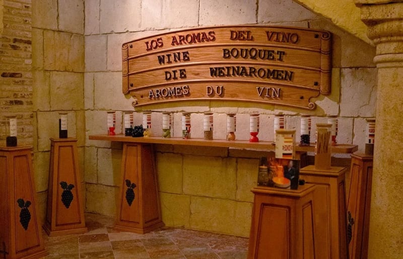 Visita a Bodega con Cata y Comida