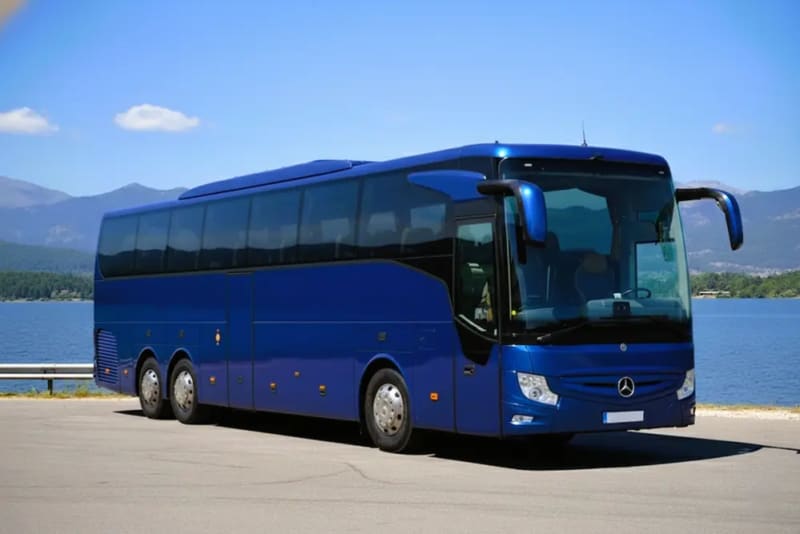 Tour en Bus 4-5 horas para grupos desde Alicante.