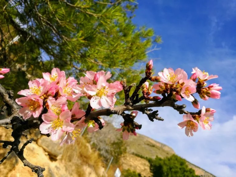 Naturaleza comunidad