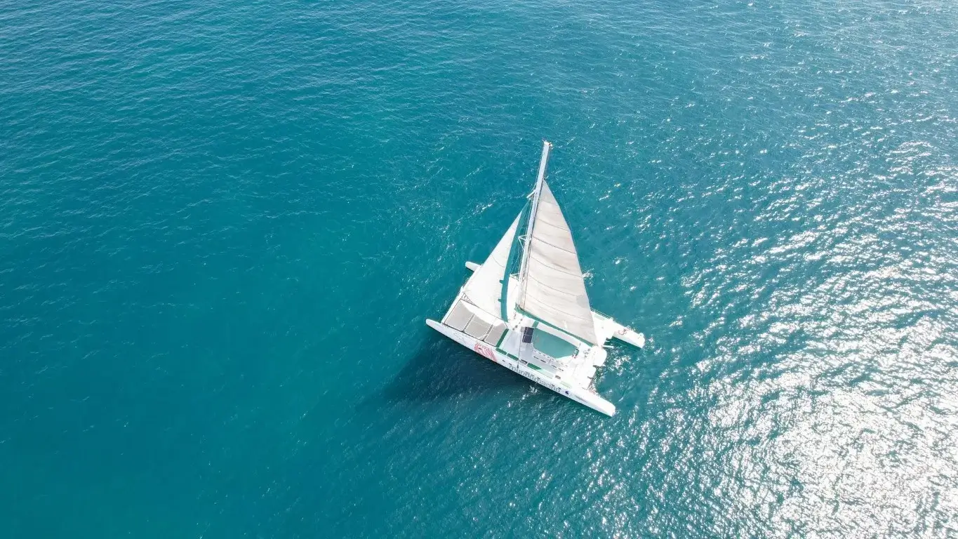 Excursión en Catamarán por Calpe con Paella y traslado desde Alicante