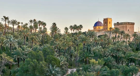 Elche: Ciudad de Cultura y Palmeras