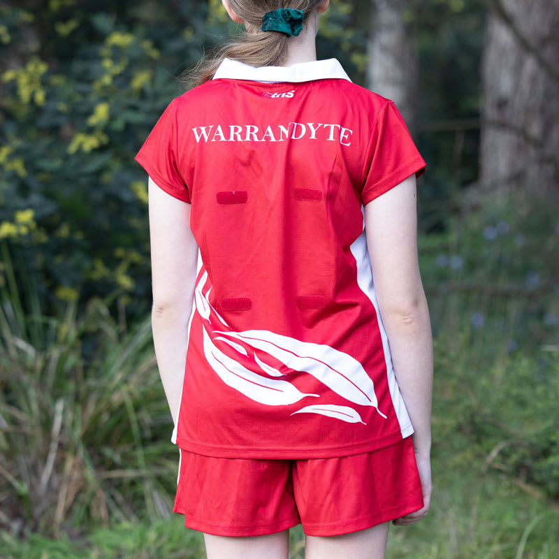 Inclusive Uniform - Shorts - Image 5