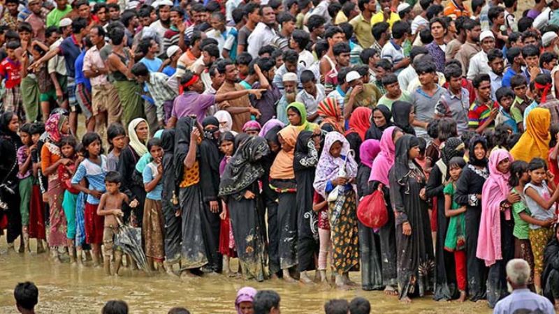 জালিয়াতির মাধ্যমে ভোটার হওয়া ২২ রোহিঙ্গার নাম বাতিল প্রক্রিয়াধীন
