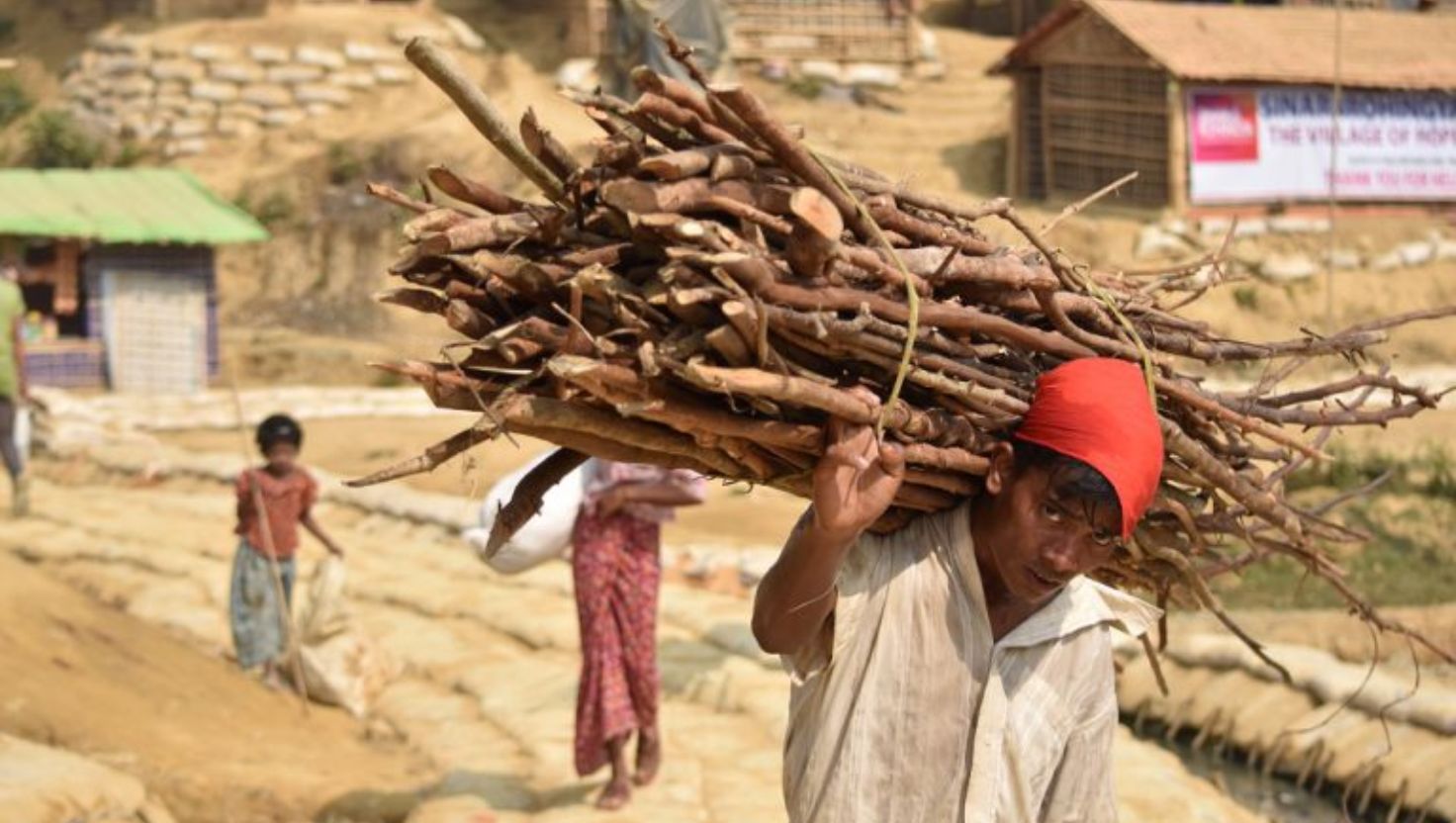 গ্যাস সংকটে আবারও বন উজাড়ে রোহিঙ্গারা