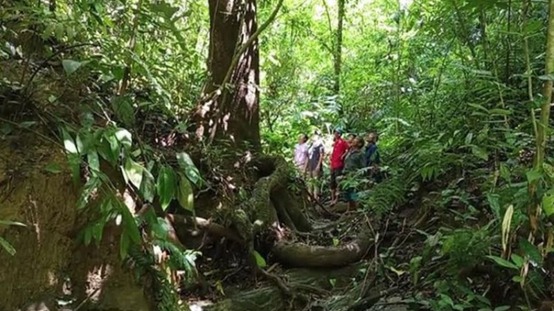 খাগড়াছড়ির পাড়াবন জীববৈচিত্র্য সংরক্ষণে ‘রোল মডেল’ হতে পারে