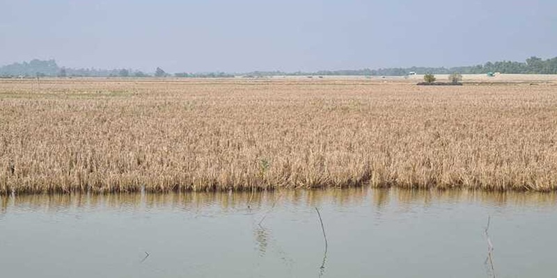 তোতার দ্বীয়া দ্বীপ দখল নিতে আরাকান আর্মি ও সশস্ত্র রোহিঙ্গাদের সংঘাত
