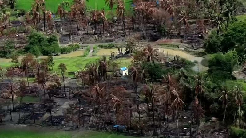 রোহিঙ্গাদের ওপর সহিংসতা ছিল পরিকল্পিত, মূল লক্ষ্য ছিল জমি দখল