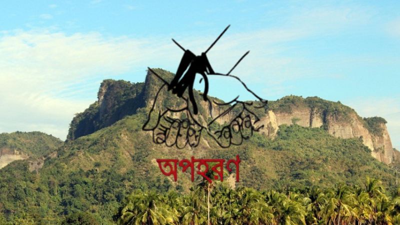 টেকনাফে পাহাড়ি এলাকায় কাঠ সংগ্রহকালে ৫ জন অপহরণ