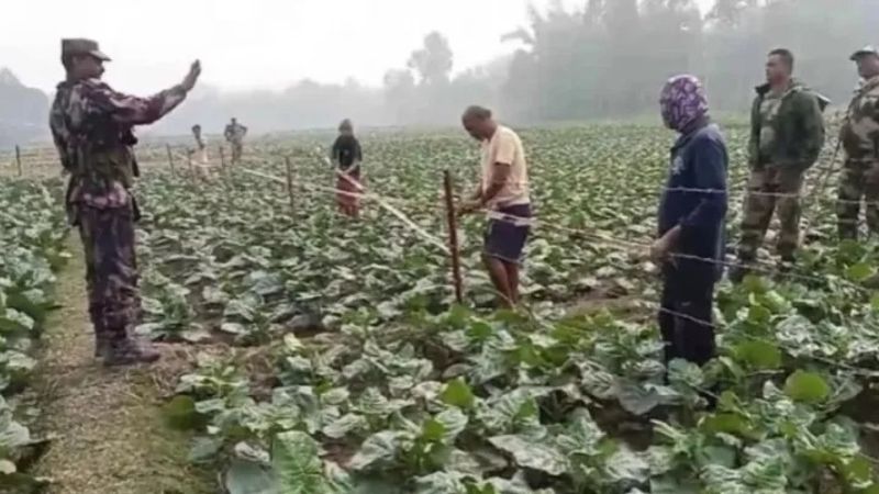 সীমান্তের ১৫০ গজে স্থাপনা তৈরি নিষিদ্ধ, বেড়া নিয়ে সাফাই ভারতের