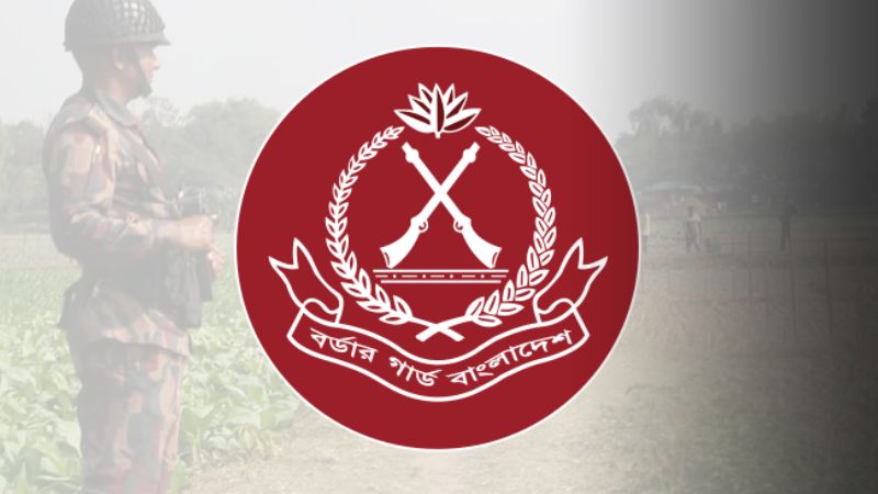২০২৪ সালে ২, ১৮৪ কোটি টাকার চোরাচালানের পণ্য জব্দ করেছে বিজিবি