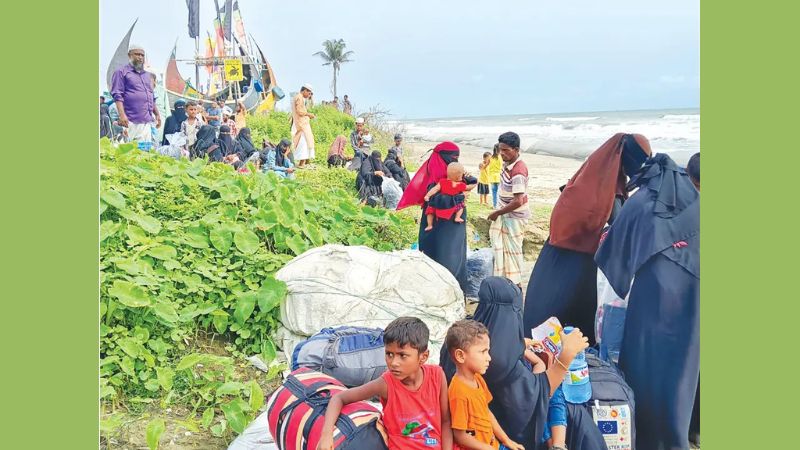১৬ পয়েন্ট দিয়ে ঢুকছে রোহিঙ্গারা, সীমান্তে সক্রিয় দালাল চক্র