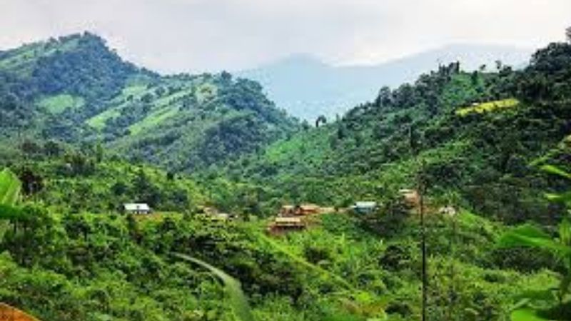 সেনাবাহিনীর অভিযানে কেএনএফ'র এক সশস্ত্র সদস্য নিহত