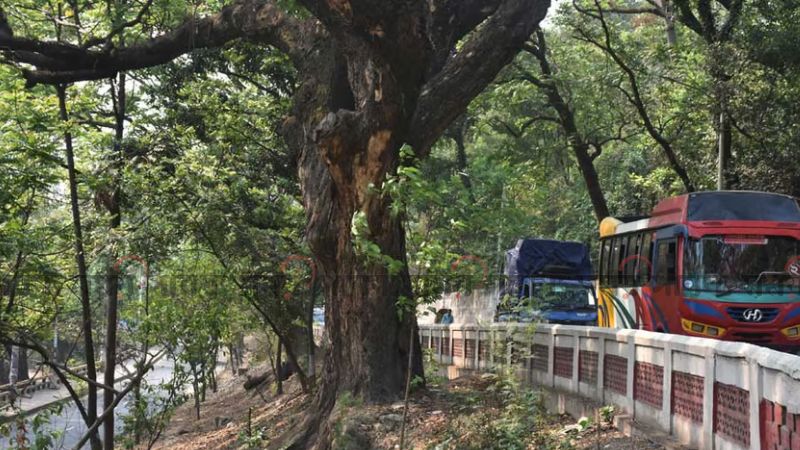 টাইগারপাসের নকশা বদলে দ্বিতল সড়কের পাশেই র্যাম্প নির্মাণ!