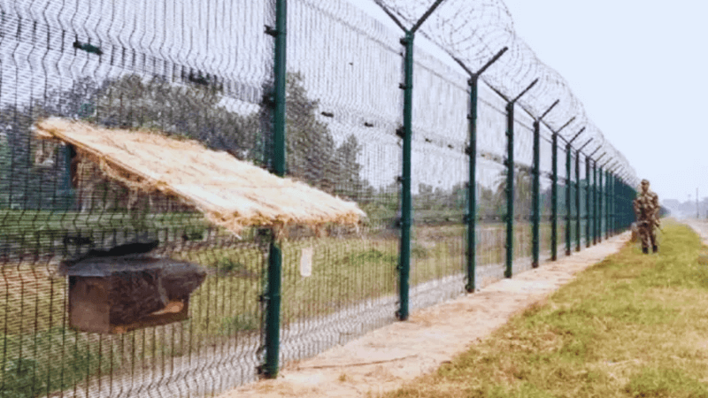 সীমান্তে ‘প্রশিক্ষিত’ মৌমাছি দিয়ে অনুপ্রবেশ ঠেকাবে ভারত