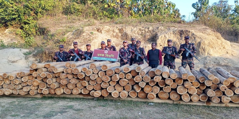 থানচিতে বিপুল পরিমাণ অবৈধ সেগুন কাঠ জব্দ