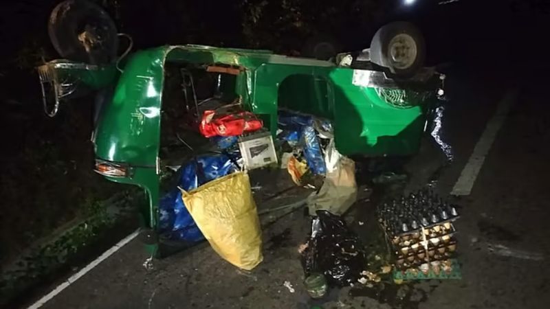 কাপ্তাইয়ে বন্যহাতির আক্রমণে নিহত ২, আহত ৩