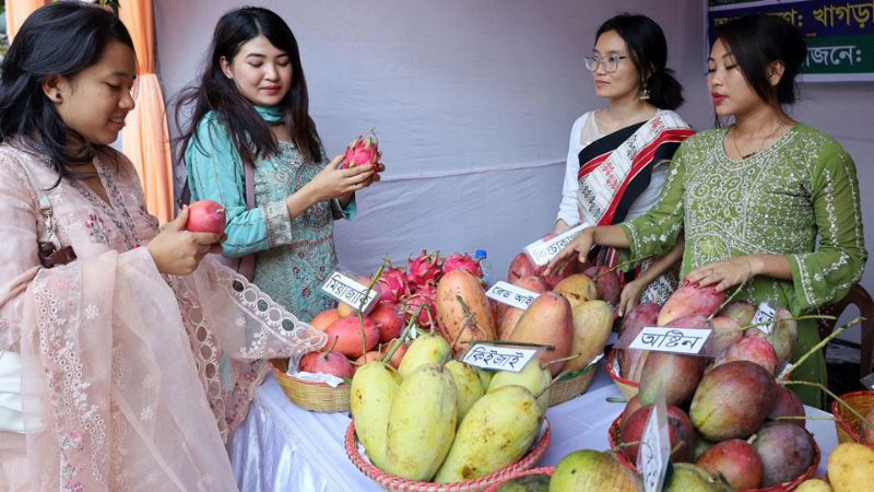 ঢাকায় শুরু পাঁচদিনব্যাপী পাহাড়ি ফল উৎসব ও মেলা