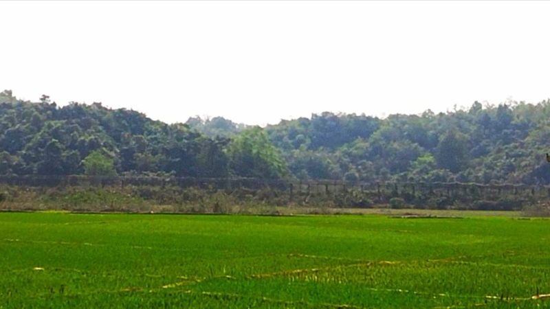 আবারও বান্দরবান সীমান্তে মাইন বিস্ফোরণ, আহত ১