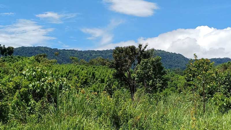 নাইক্ষ্যংছড়ি সীমান্তে ফের মাইন বিস্ফোরণ, রোহিঙ্গা যুবক নিহত