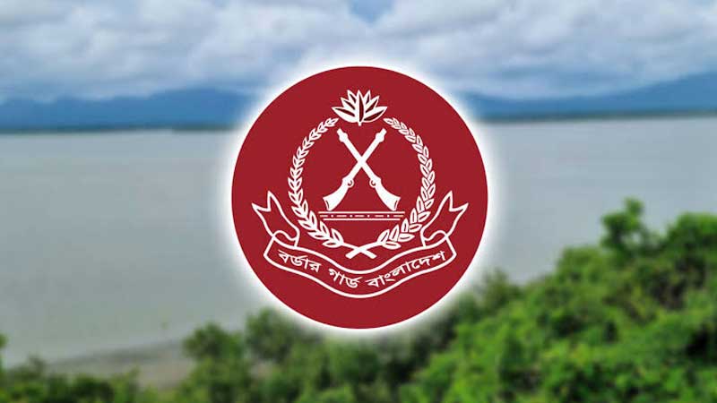 মে মাসে বিজিবির অভিযানে ১৭৭ কোটি টাকার চোরাচালান পণ্য জব্দ