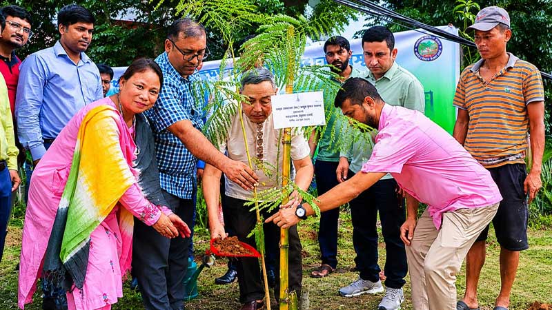 তিন পার্বত্য জেলায় পাঁচ বছরে ৫ লাখ চারা রোপণের লক্ষ্য
