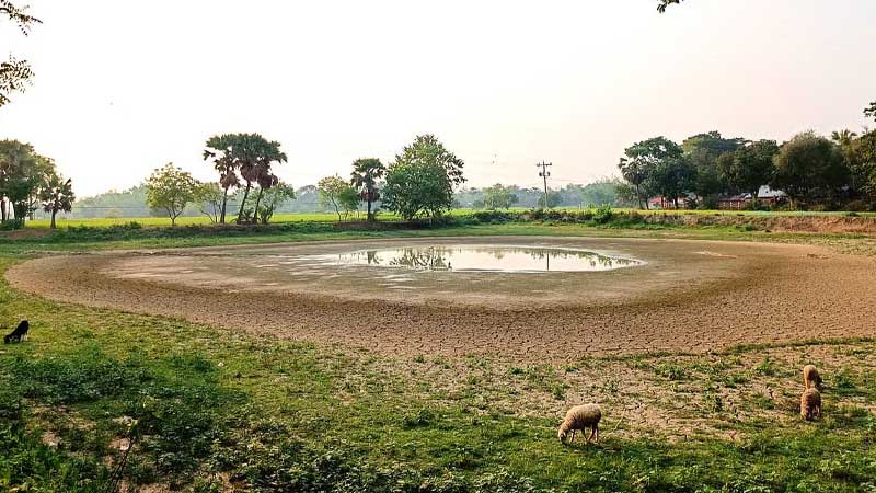 বিশ্ব খরা ও মরুকরণ প্রতিরোধ দিবস আজ, ঝুঁকিতে পৃথিবীর এক-চতুর্থাংশ ভূমি