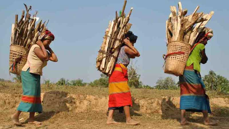 পার্বত্য চট্টগ্রামের ক্ষুদ্র জাতিগোষ্ঠীর কর অব্যাহতি বহালের দাবিতে এমপিদের চিঠি
