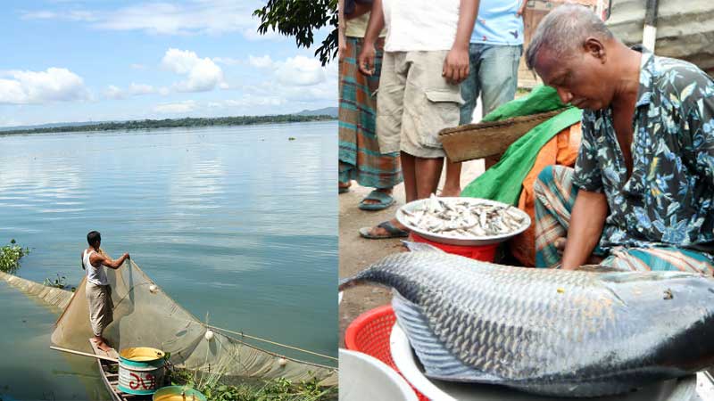 কাপ্তাই হ্রদে ফিরলো প্রাণচাঞ্চল্য, সরগরম ঘাট-আড়ত