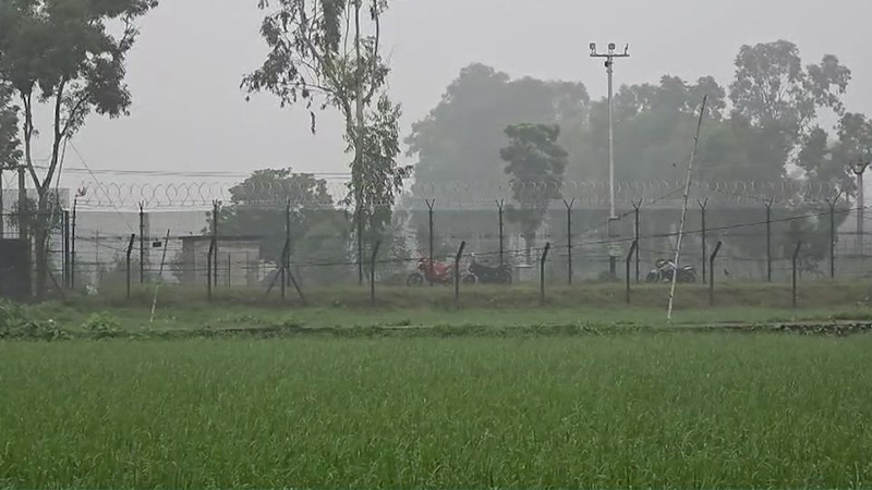 বিরামপুর সীমান্তে ১২–১৫ জনকে পুশইনের চেষ্টা, বিজিবি ও স্থানীয়দের প্রতিরোধে ব্যর্থ বিএসএফ