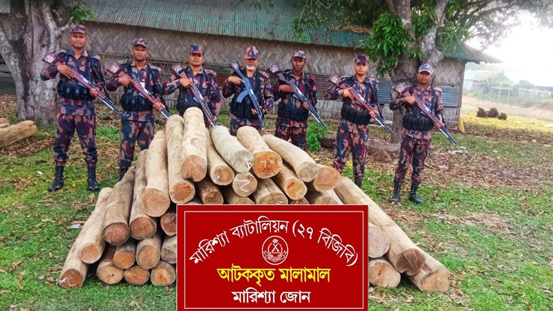 বাঘাইছড়িতে বিজিবির অভিযানে দুই লাখ টাকা মূল্যের সেগুন কাঠ উদ্ধার